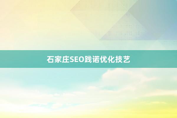 石家庄SEO践诺优化技艺